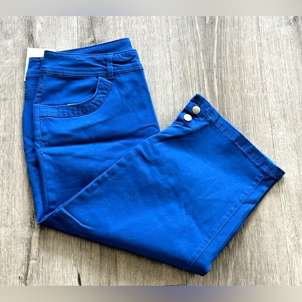 Jaclyn Smith Casual Weekend Pre-Spring Group Blue Capris Women’s Size 6 Pockets
